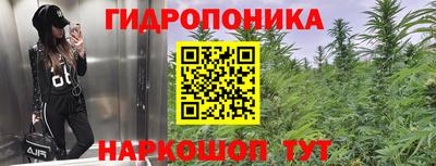гидропоника Ставрополь
