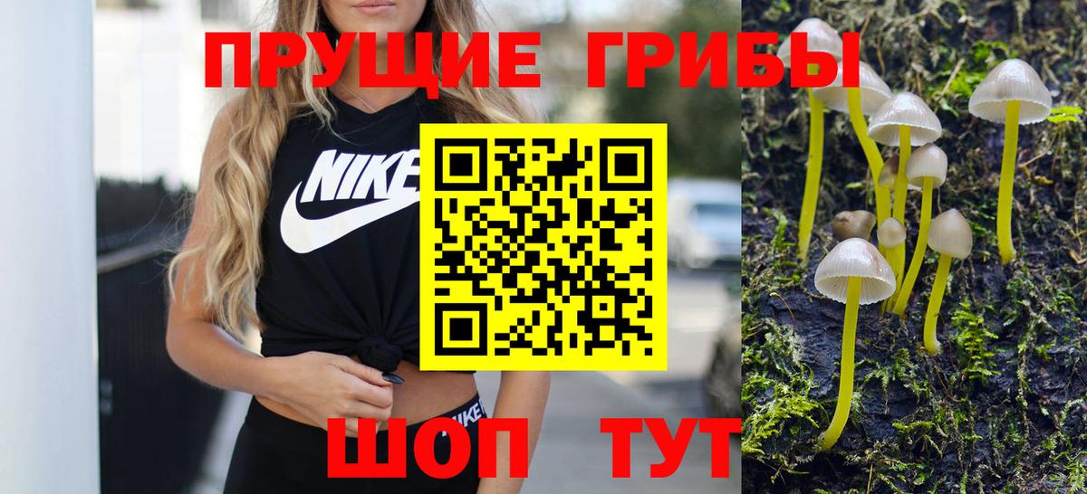 Псилоцибиновые грибы GOLDEN TEACHER Михайловск